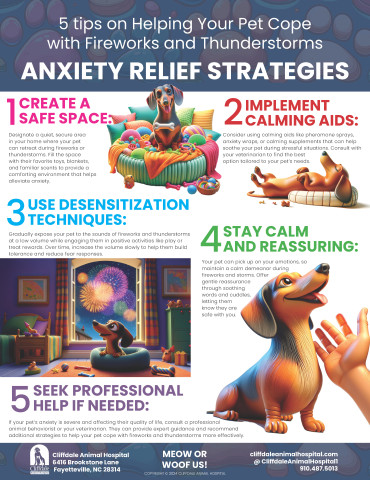 5 Tips on Helping Your Pet Cope with Fireworks and Thunderstorms: Anxiety Relief Strategies
